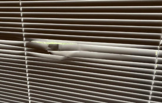 identificar daño de lamas